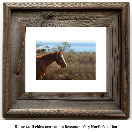 horse trail rides near me in Bessemer City, North Carolina